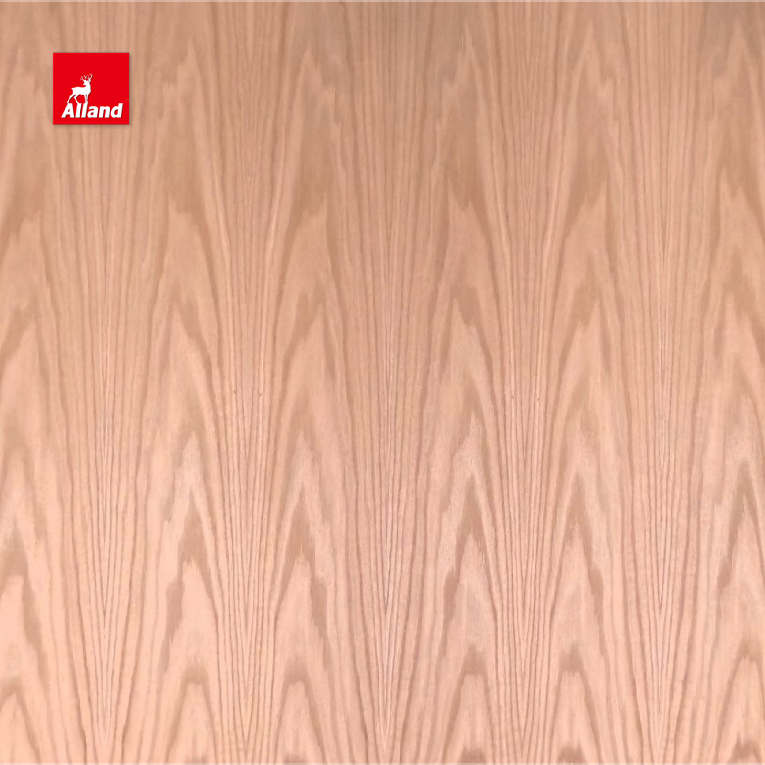 ไม้โอ๊คแดงลายเม็ด