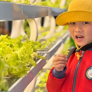 Sistema de Cultivo Hidropónico para Interiores, Jardinera Inteligente para el Hogar con Luces para Cultivar Vegetales - Product Image 3