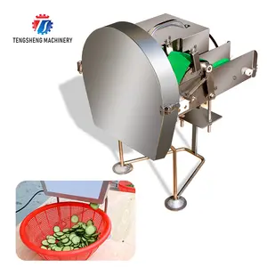 Macchinario di trasformazione alimentare zenzero cipolla scalogno frutta verdura affettatrice taglierina Dicer affettatrice tagliatrice (TS-Q30)