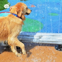 Cenchi Tapis d'entraînement pour chiens, Équipement pour hôtels et complexes hôteliers pour animaux, Aire de jeux extérieure commerciale, Fabricant de produits pour animaux de compagnie
