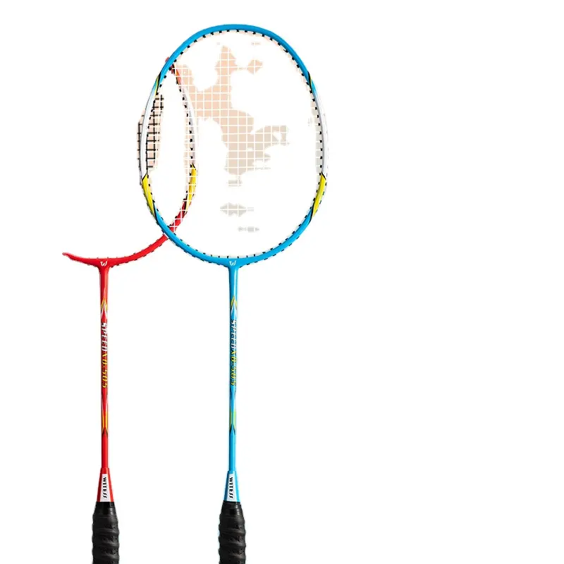 Professional high-modulus graphite badminton racket for players of all levels carbon steel