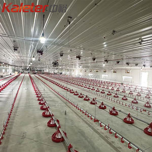 อุปกรณ์ฟาร์มไก่เนื้อไนจีเรีย <span class=keywords><strong>Big</strong></span> <span class=keywords><strong>Dutchman</strong></span> สำหรับสัตว์ปีก  จำหน่ายเครื่องให้อาหารและเครื่องให้น้ำสำหรับไก่ - Product Image 6