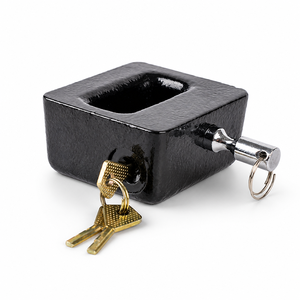 Hochwertiges, robustes Vorhängeschloss aus Gusseisen, wasserdicht, mit 3 Schlüsseln, diebstahlsicher, bruchsicher, Schlüsselentriegelung, für Tore und Bodenmontage - Product Image 1