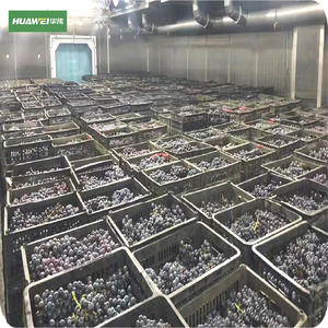 Salle de refroidissement des saucisses Refroidisseur de plain-pied Congélateur Réfrigération Prix d'entreposage au froid Chambre de refroidissement du congélateur - Product Image 3