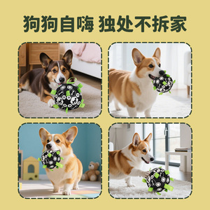 Jouet de football pour chien, peluche, jouet qui couine, divertissant, amusant, pour le nettoyage des dents, résistant aux morsures, pour l'entraînement, interactif - Product Image 4