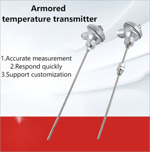 -70 lên đến 550 độ bạch kim nhiệt độ kháng nhiệt độ RTD PT100 cảm biến nhiệt độ với 4-20mA máy phát ODM OBM - Product Image 3