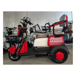 Triciclo Eléctrico de Tres Ruedas de Alta Calidad y Bajo Precio, Bicicleta Eléctrica de 3 Ruedas para Adultos, 48V 60V 800W, para Familias - Product Image 2