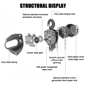 Factory Price High Quality <strong>Manual</strong> Hand Operated Chain <strong>Hoist</strong> 1 Ton Portable <strong>Manual</strong> Lifting Block - Product Image 2