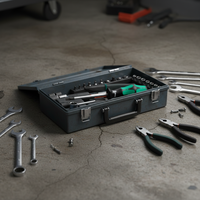 Alat Pengencang Obeng Terminal untuk Torx TX5 Gagang Plastik OEM Dapat Disesuaikan Merek Wera