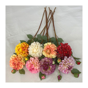 <span class=keywords><strong>Chrysanthème</strong></span> Tianzhu 2 têtes bon marché pour décoration de mariage <span class=keywords><strong>chrysanthème</strong></span> de haute qualité - Product Image 3