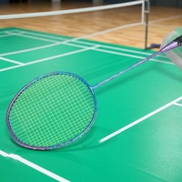 Raqueta de Bádminton para Principiantes, de Aleación de Hierro 513, de un Solo Tiro, Profesional, Duradera, con Marco de Alta Resistencia, para Entrenamiento en Interiores