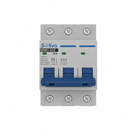 Disjoncteur solaire DC Solivo MXB1-63Z 1000V 6A-63A 6kA avec protection Li PA66 Cuivre pour boîtier de combinaison PV et stockage d'énergie