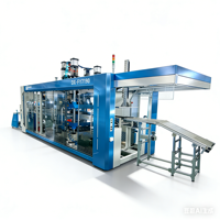 Automatische machine voor het vacuümvormen van plastic eierdozen en fruitdozen van PP, PET, PS, PLA en rolmaterialen