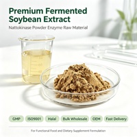 Extrait de soja fermenté de qualité supérieure, poudre de Nattokinase, GMP ISO9001, Halal, matière première enzymatique, vente en gros, OEM, livraison rapide
