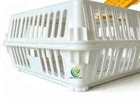 Caisse de transport pour poulets en plastique empilable et robuste, cage de transport durable pour volailles à usage agricole