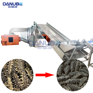 Séchoir à bande maillée certifié qualité pour le nettoyage et le séchage des concombres de mer, machine de séchage des fruits de mer, fabricant - Product Image 1