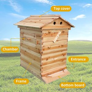 Tổ Ong Dòng Chảy Tự Động <span class=keywords><strong>Bee</strong></span> Tổ Ong Hộp Kit Cấp Thực Phẩm Nghề Nuôi Ong Nhà Bằng Gỗ Với 7Pcs Mật Ong Dòng Chảy Khung Cho Nghề Nuôi Ong - Product Image 2