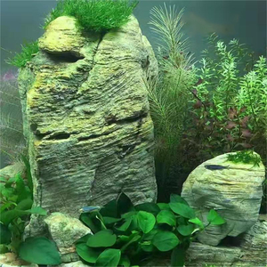<span class=keywords><strong>Pierre</strong></span> de Melaleuca pour <span class=keywords><strong>aquarium</strong></span> Live Rock Gray - Product Image 3