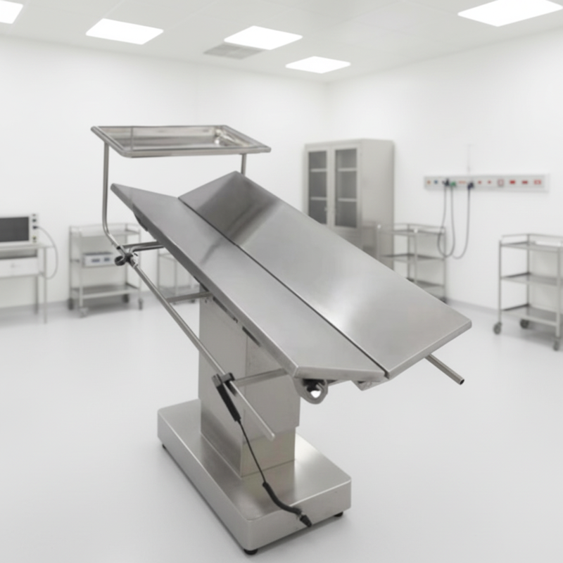 Stable Base Pet Surgery Examination and