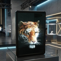 Pantalla LCD 3D sin Gafas de 32 Pulgadas, 2400x3600, Holográfica, Estereoscópica, Imagen 3D, 1.07B Colores, Visualización Ultra Ancha, Gran Profundidad