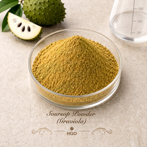 HGO Factory Direct Supply of Natural Soursop Powder (Graviola) (Food Grade) Fruit powder <b>Spray</b> Drying or Freeze-dried powder - Product Image 1