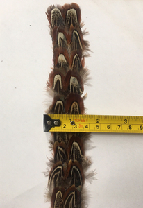 May TRIM Ribbon rìa tự nhiên gà lôi lông hat ban nhạc cho nam giới phụ nữ Cowboy Fedora Hat trang phục mũ nón tóc phụ kiện - Product Image 4