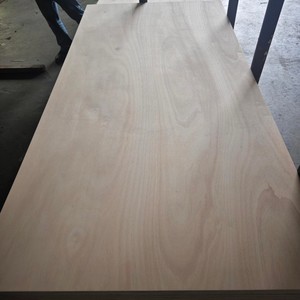 Linyi Xinger di alta qualità 12mm 15mm fenolicwbp Okoume compensato marino eucalipto per esterni - Product Image 5