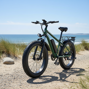 Bicicleta Eléctrica EB26 Cruiser de 31-60 km, 1000 W, 15 Ah, con Batería de Litio, 7 Velocidades, Cuadro de Aluminio, Electrónica Digital, la Más Vendida - Product Image 5