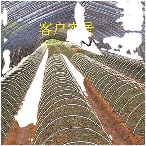 3mm*10mm Fiberglass Strips for Supporting Roman Blinds Curtain Frp Flat Bar - Product Image 6