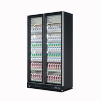 Réfrigérateur de Bar à Double porte, vitrine Sub Zero, réfrigérateur de bière, congélateur Commercial