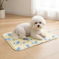 Tapis rafraîchissant pour animaux de compagnie, populaire pour l'été, anti-dérapant, rempli de gel, pour toutes les saisons, universel pour chat et chien
