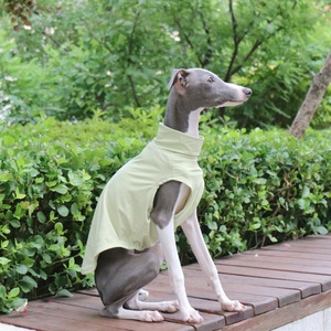 Gilet de protection solaire estival pour chien de type Greyhound <span class=keywords><strong>italien</strong></span> et Whippet, en polyester moderne, avec capuche, anti-salissures, pour les sorties et Halloween - Product Image 6