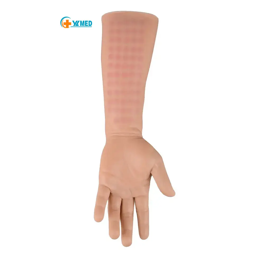 Medical science Human skin test injection arm laboratory blood drawing device laboratory care essential model