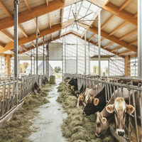 Estructura de acero para ganado, granja de ovejas, cobertizo de cabra/ganado, construcción de cobertizo, 2022