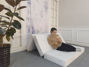 ที่นอนโฟมความหนาแน่นสูงพับได้สามทบพับได้แบบพกพาเดินทางบนพื้นกลางแจ้งเตียงโซฟาแบบญี่ปุ่นสำหรับแขกหรืองีบหลับ - Product Image 5