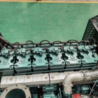 200kw 250kw 500kw 1000kw Alemania MAN unidades de cogeneración de gas metano natural planta de energía CHP