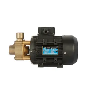 WF Boiler Feed Water High Temperature Vortex Pump