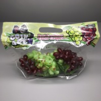 Druivenbeschermingszakken voor de landbouw, vers fruit opslag, transport, verpakking, staande pouch, ritssluiting, ventilatie, ademend