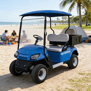 Voiturette de golf électrique personnalisée à 2 places avec moteur, batterie au lithium, mini camionnette tout-terrain pour usage hôtelier - Product Image 1