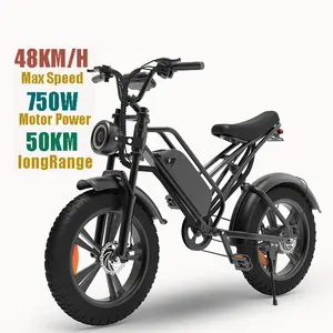 750 와트 전기 오토바이 E 자전거 2023 전기 자전거화물 자전거 전기 ebike 전자 화물 가족 e 자전거 성인 e 자전거