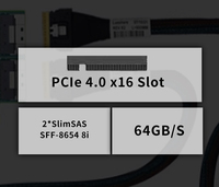 Komponen Server MIWIN Kartu Retimer Internal Pcie 4.0 X16 ke 2* SFF-8654 X8 Kartu Adaptor Switch dengan Kartu Retimer PCIe 4.0 Terintegrasi