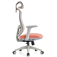Chaise de bureau ergonomique pivotante en nylon avec accoudoirs réglables, design moderne, soutien lombaire, chaise d'ordinateur, utilisation en hôpital ou à l'école