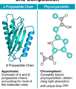 Phycocyanine de qualité alimentaire, extrait de <span class=keywords><strong>spiruline</strong></span> E18 E6, colorant alimentaire bleu naturel, <span class=keywords><strong>poudre</strong></span> de phycocyanine - Product Image 3