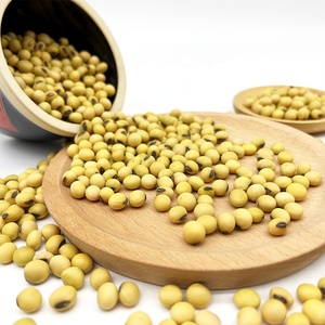Vente en gros d'usine de soja jaune NO-GMO de haute qualité en vrac New Corp de Chine - Product Image 4