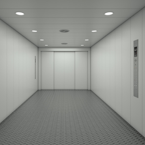 Precio de fábrica 3000kg Elevador de automóviles de gran tamaño <span class=keywords><strong>Centro</strong></span> comercial Ascensores de carga residenciales con precio barato - Product Image 3