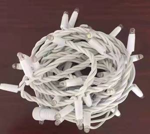 Dây Cao Su IP68 220V 10M 100Leds Đèn LED Trang Trí Giáng Sinh Dây Thần Tiên - Product Image 2