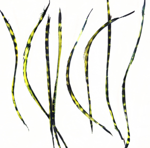 Plume de canard Biot colorée à motifs pour artisanat DIY, coiffure, déguisement, matériel de montage de mouches de pêche, ornement, décoration de franges de rêve - Product Image 2