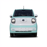 Cabriolet électrique pur chinois le plus populaire, mini voiture élégante, cabriolet léger, voiture à faible consommation d'énergie, 2 places, batterie de 13,9 kWh, 170 km