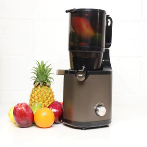 HOT SELLING 140MM BIGGEST MOUTH FRUIT VEGETABLE SLOW <strong>JUICER</strong>