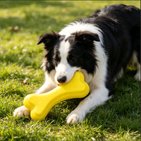 Os à mâcher texturé écologique pour chiens, jouet à mâcher pour animaux de compagnie, pour la santé des dents et des gencives, chiens de taille moyenne